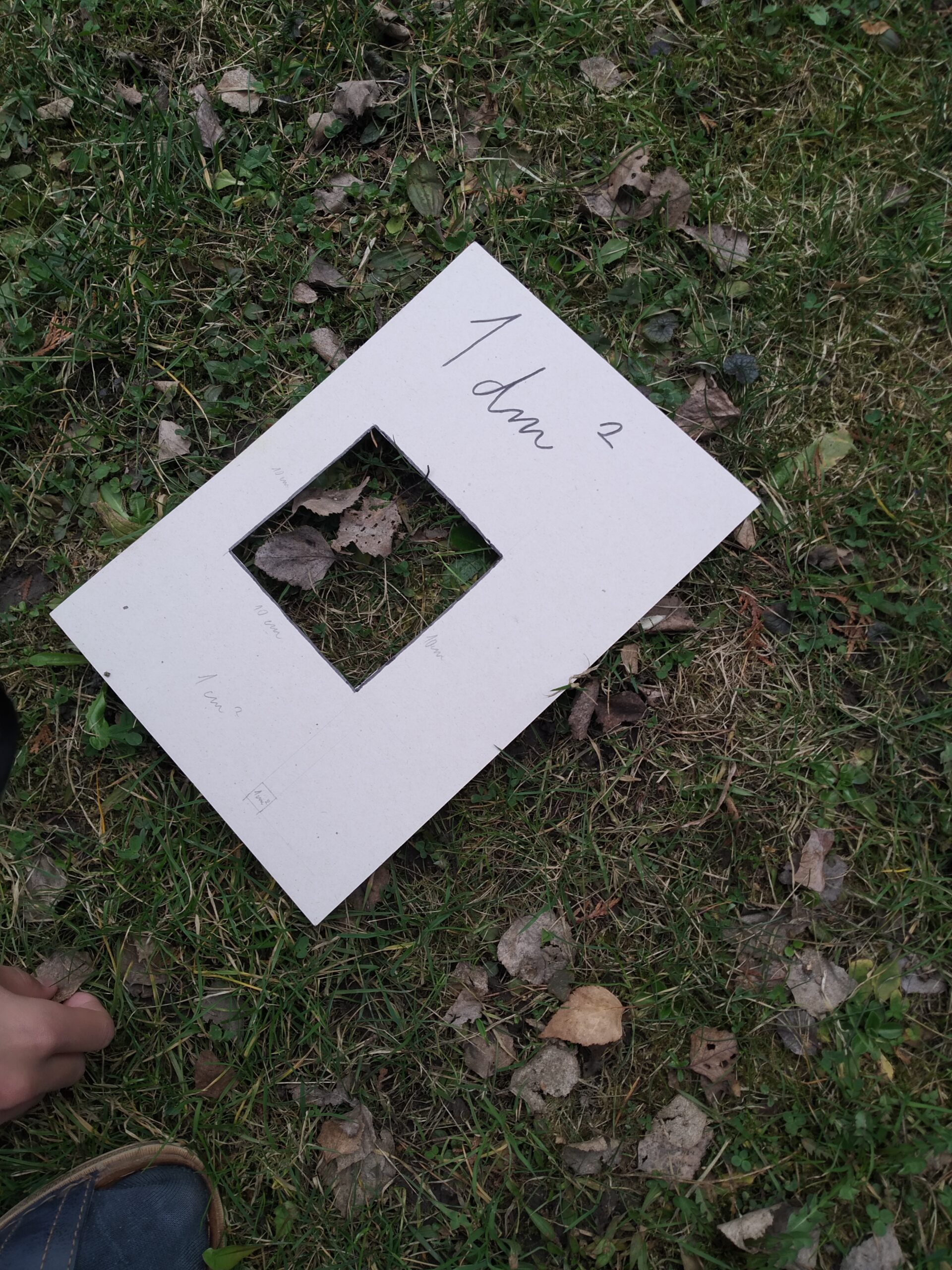 5.A Decimetr čtvereční 5.A Decimetr čtvereční